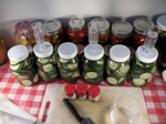 Mature slicing type cucumbers ready for the simple brine pickle recipe!